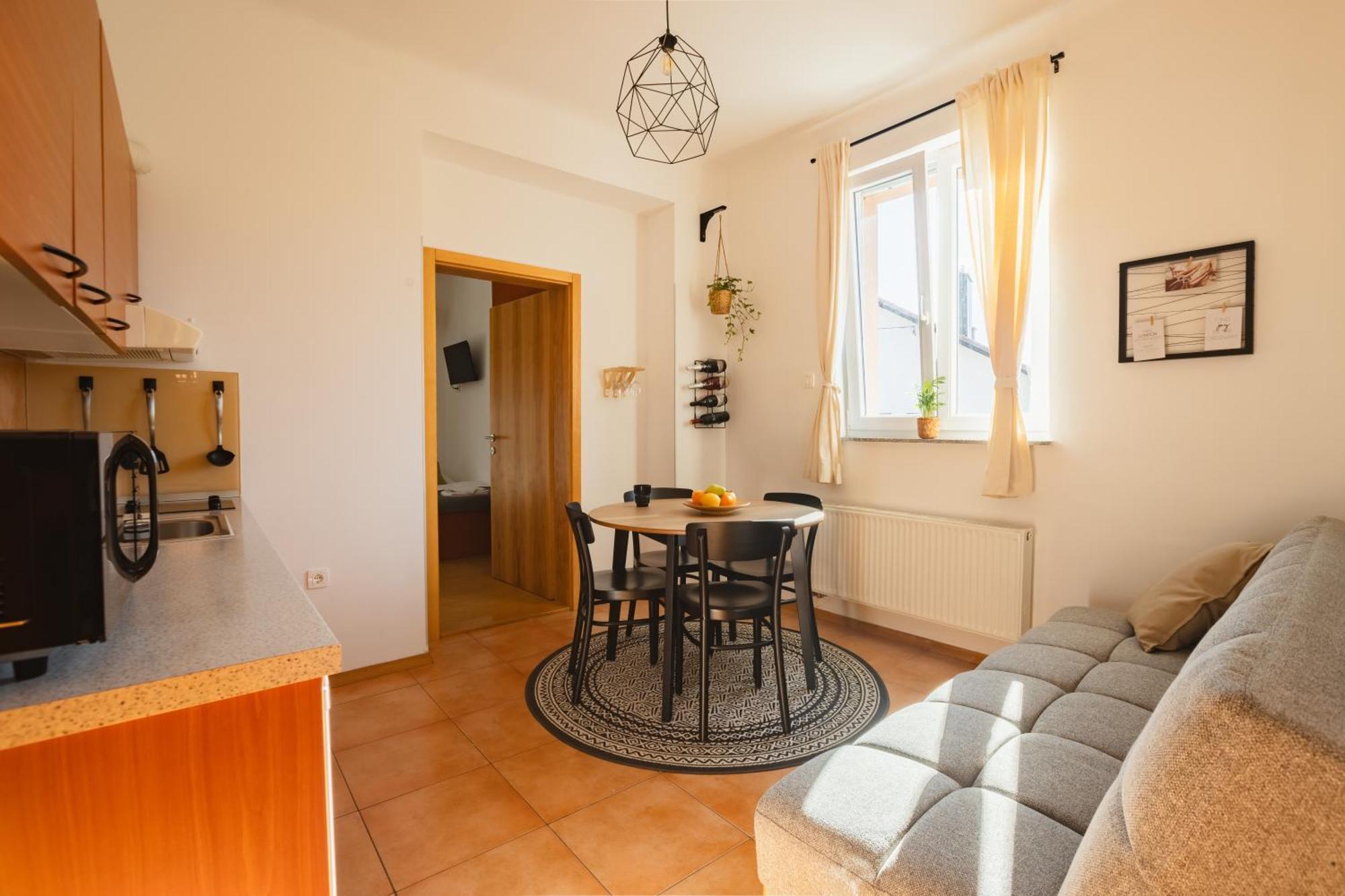 Vila Klara Apartments Ljubljana Extérieur photo